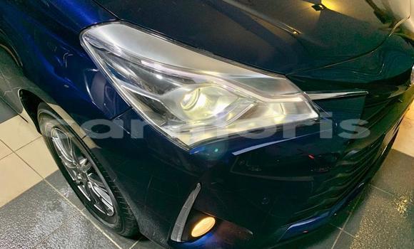 Buy Import Toyota Vitz Blue Car in Curepipe in Plaines Wilhems District Buy Import Toyota Vitz Blue Car in Curepipe in Plaines Wilhems District