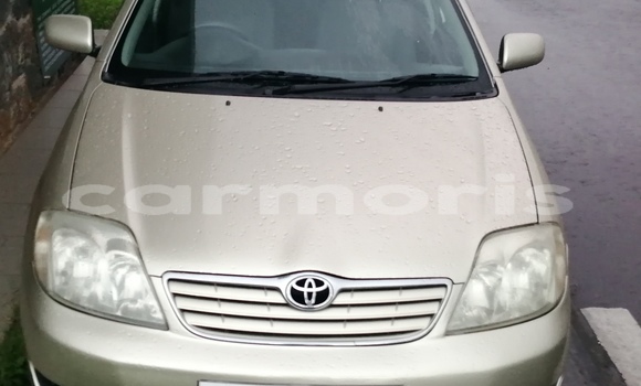Buy Used Toyota Corolla Other Car in Rose Belle in Grand Port District Buy Used Toyota Corolla Other Car in Rose Belle in Grand Port District