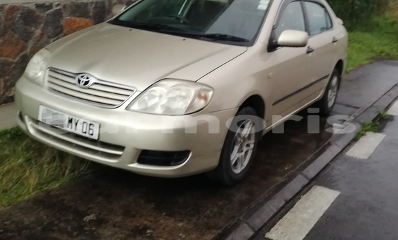 Buy Used Toyota Corolla Other Car in Rose Belle in Grand Port District Buy Used Toyota Corolla Other Car in Rose Belle in Grand Port District