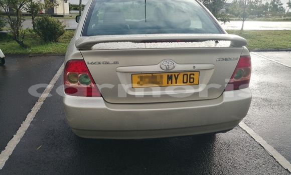 Buy Used Toyota Corolla Other Car in Rose Belle in Grand Port District Buy Used Toyota Corolla Other Car in Rose Belle in Grand Port District