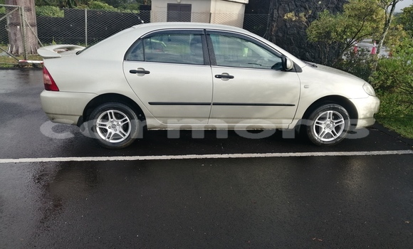 Buy Used Toyota Corolla Other Car in Rose Belle in Grand Port District Buy Used Toyota Corolla Other Car in Rose Belle in Grand Port District
