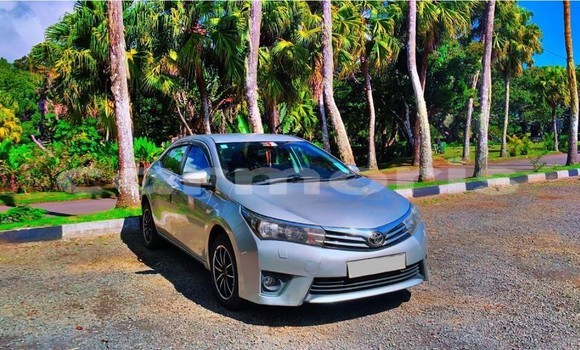 Buy Used Toyota Corolla Silver Car in Moka in Moka Buy Used Toyota Corolla Silver Car in Moka in Moka