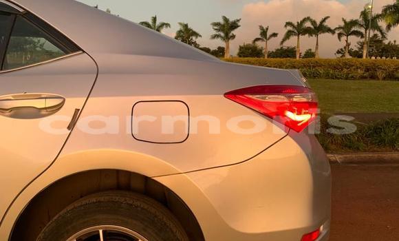 Buy Used Toyota Corolla Silver Car in Moka in Moka Buy Used Toyota Corolla Silver Car in Moka in Moka