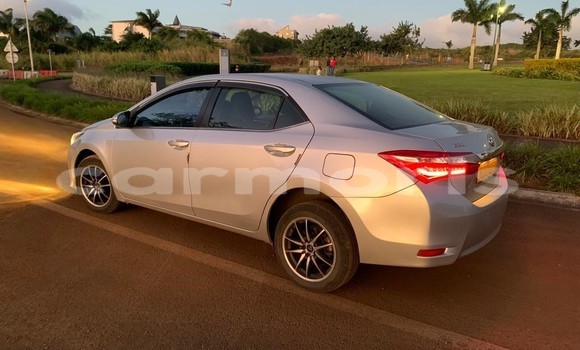 Buy Used Toyota Corolla Silver Car in Moka in Moka Buy Used Toyota Corolla Silver Car in Moka in Moka