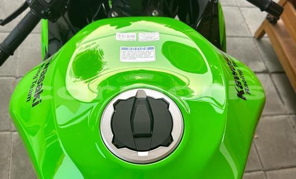 Buy Used Kawasaki Ninja Green Bike in Port Louis in Port Louis District Buy Used Kawasaki Ninja Green Bike in Port Louis in Port Louis District
