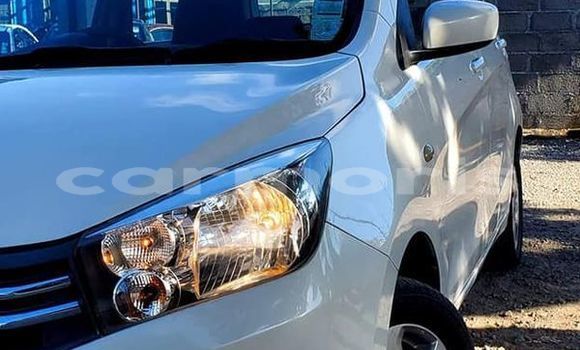 Buy Used Suzuki Celerio Other Car in Port Louis in Port Louis District