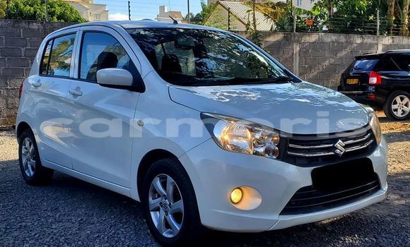 Buy Used Suzuki Celerio Other Car in Port Louis in Port Louis District