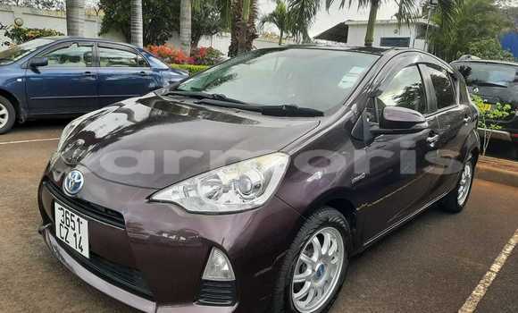 Buy Used Toyota Aqua Brown Car in Vacoas–Phoenix in Plaines Wilhems District Buy Used Toyota Aqua Brown Car in Vacoas–Phoenix in Plaines Wilhems District