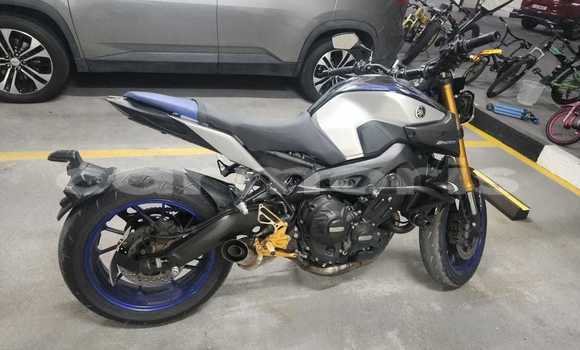 Buy Used Yamaha MT Silver Bike in Port Louis in Port Louis District Buy Used Yamaha MT Silver Bike in Port Louis in Port Louis District