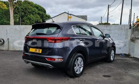 Buy Used Kia Sportage Other Car in Port Louis in Port Louis District Buy Used Kia Sportage Other Car in Port Louis in Port Louis District