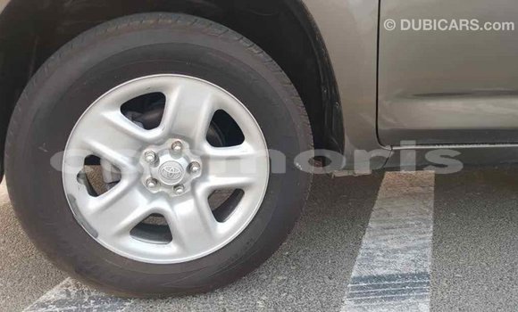 Buy Import Toyota HiAce Brown Truck in Import - Dubai in Agalega Islands Buy Import Toyota HiAce Brown Truck in Import - Dubai in Agalega Islands
