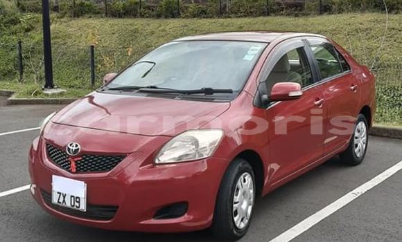Buy Used Toyota Belta Red Car in Pamplemousse in Pamplempousses Buy Used Toyota Belta Red Car in Pamplemousse in Pamplempousses