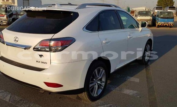Buy Import Lexus RX 350 White Car in Import - Dubai in Agalega Islands Buy Import Lexus RX 350 White Car in Import - Dubai in Agalega Islands