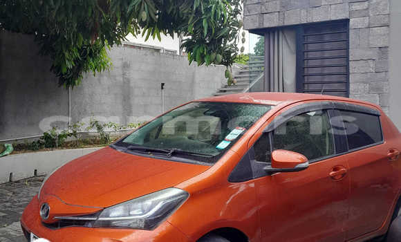Acheter Occasion Voiture Toyota Vitz Autre à Arsenal, Pamplemousses District Acheter Occasion Voiture Toyota Vitz Autre à Arsenal, Pamplemousses District
