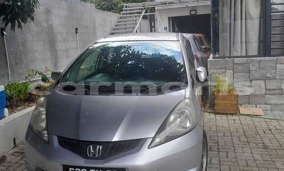 Acheter Occasion Voiture Honda fit Autre à Baie du Tombeau, Pamplemousses District Acheter Occasion Voiture Honda fit Autre à Baie du Tombeau, Pamplemousses District