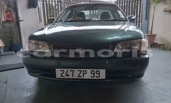 Acheter Occasion Voiture Toyota Allex Noir à Beau Bassin–Rose Hill, Plaines Wilhems District Acheter Occasion Voiture Toyota Allex Noir à Beau Bassin–Rose Hill, Plaines Wilhems District