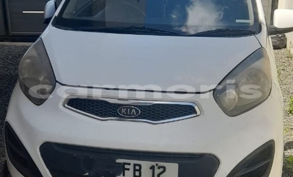 Buy Used Kia Picanto White Car in Vacoas–Phoenix in Plaines Wilhems District Buy Used Kia Picanto White Car in Vacoas–Phoenix in Plaines Wilhems District
