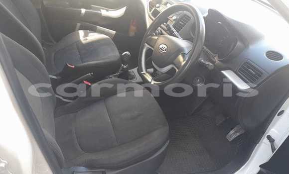 Buy Used Kia Picanto White Car in Vacoas–Phoenix in Plaines Wilhems District Buy Used Kia Picanto White Car in Vacoas–Phoenix in Plaines Wilhems District