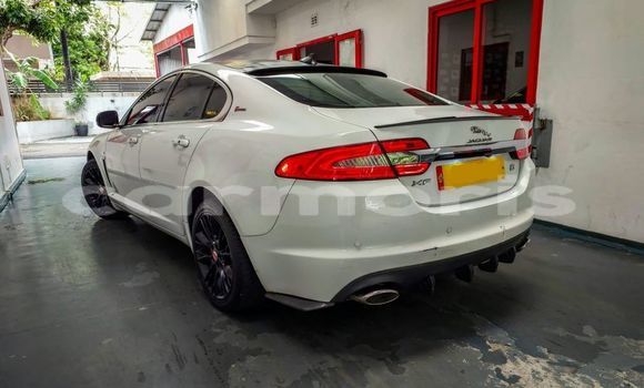 Buy Used Jaguar XF Other Car in Beau Bassin–Rose Hill in Plaines Wilhems District Buy Used Jaguar XF Other Car in Beau Bassin–Rose Hill in Plaines Wilhems District