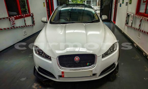 Buy Used Jaguar XE White Car in Beau Bassin–Rose Hill in Plaines Wilhems District Buy Used Jaguar XE White Car in Beau Bassin–Rose Hill in Plaines Wilhems District
