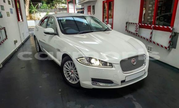 Buy Used Jaguar XF Other Car in Beau Bassin–Rose Hill in Plaines Wilhems District Buy Used Jaguar XF Other Car in Beau Bassin–Rose Hill in Plaines Wilhems District