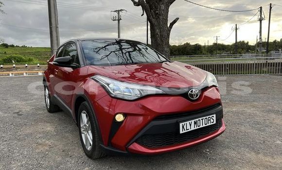 Buy Used Toyota C-HR Red Car in Baie du Cap in Savanne District Buy Used Toyota C-HR Red Car in Baie du Cap in Savanne District