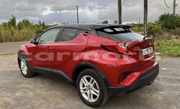 Buy Used Toyota C-HR Red Car in Baie du Cap in Savanne District Buy Used Toyota C-HR Red Car in Baie du Cap in Savanne District