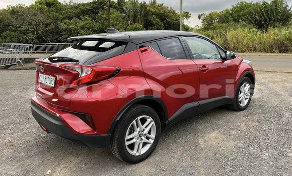 Buy Used Toyota C-HR Red Car in Baie du Cap in Savanne District Buy Used Toyota C-HR Red Car in Baie du Cap in Savanne District