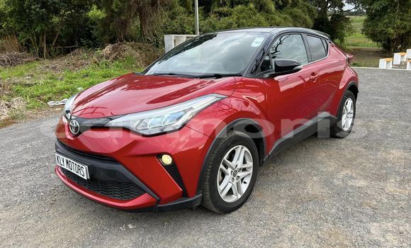 Buy Used Toyota C-HR Red Car in Baie du Cap in Savanne District Buy Used Toyota C-HR Red Car in Baie du Cap in Savanne District