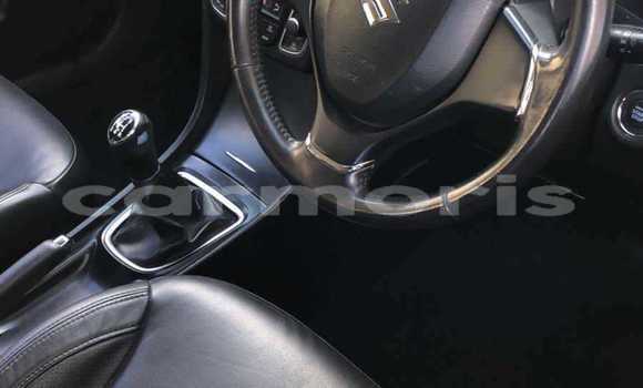 Buy Used Suzuki Ciaz Other Car in Arsenal in Pamplemousses District Buy Used Suzuki Ciaz Other Car in Arsenal in Pamplemousses District