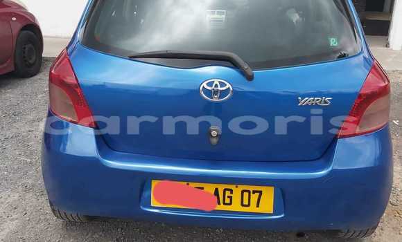 Buy Used Toyota Vitz Blue Car in Arsenal in Pamplemousses District Buy Used Toyota Vitz Blue Car in Arsenal in Pamplemousses District