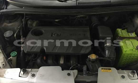 Buy Used Toyota Vitz Other Car in Baie du Cap in Savanne District Buy Used Toyota Vitz Other Car in Baie du Cap in Savanne District