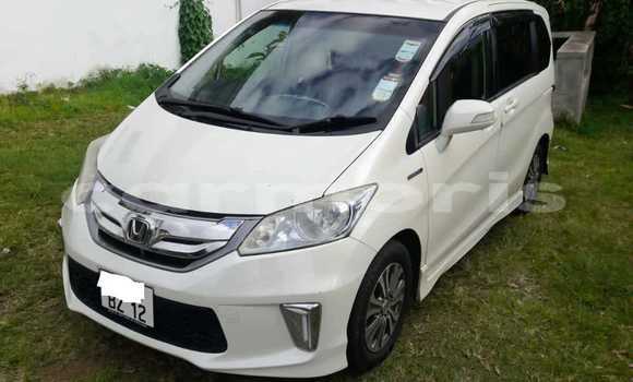 Buy Used Honda Freed White Car in Amitié–Gokhoola in Rivière du Rempart District Buy Used Honda Freed White Car in Amitié–Gokhoola in Rivière du Rempart District