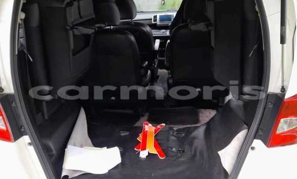 Buy Used Honda Freed White Car in Amitié–Gokhoola in Rivière du Rempart District Buy Used Honda Freed White Car in Amitié–Gokhoola in Rivière du Rempart District