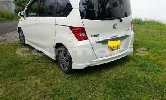 Buy Used Honda Freed White Car in Amitié–Gokhoola in Rivière du Rempart District Buy Used Honda Freed White Car in Amitié–Gokhoola in Rivière du Rempart District