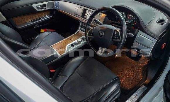 Buy Used Jaguar F-Type SVR White Car in Baie du Cap in Savanne District Buy Used Jaguar F-Type SVR White Car in Baie du Cap in Savanne District