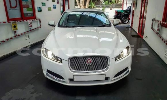 Buy Used Jaguar F-Type SVR White Car in Baie du Cap in Savanne District Buy Used Jaguar F-Type SVR White Car in Baie du Cap in Savanne District