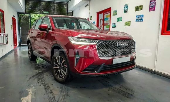 Buy Used Haval H6 Red Car in Amaury in Rivière du Rempart District