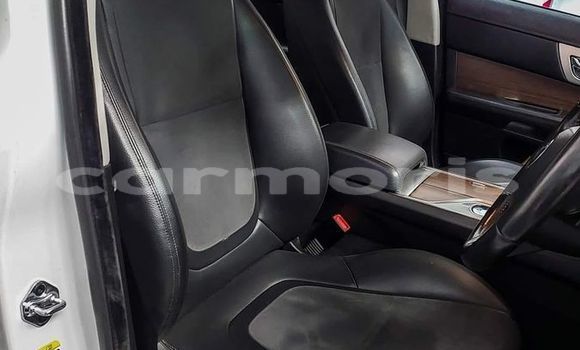 Buy Used Jaguar XF White Car in Amaury in Riviรจre du Rempart District Buy Used Jaguar XF White Car in Amaury in Riviรจre du Rempart District