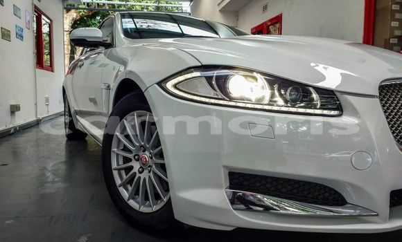 Buy Used Jaguar XF White Car in Amaury in Riviรจre du Rempart District Buy Used Jaguar XF White Car in Amaury in Riviรจre du Rempart District