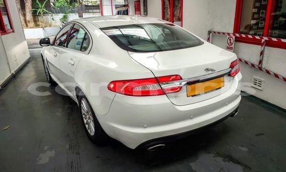 Buy Used Jaguar XF White Car in Amaury in Riviรจre du Rempart District Buy Used Jaguar XF White Car in Amaury in Riviรจre du Rempart District
