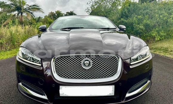 Buy Used Jaguar XF Black Car in Baie du Cap in Savanne District
