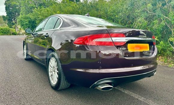 Buy Used Jaguar XF Black Car in Baie du Cap in Savanne District Buy Used Jaguar XF Black Car in Baie du Cap in Savanne District