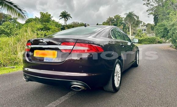 Buy Used Jaguar XF Black Car in Baie du Cap in Savanne District Buy Used Jaguar XF Black Car in Baie du Cap in Savanne District