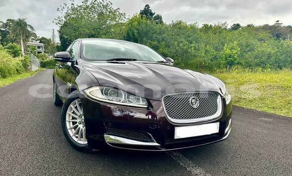 Buy Used Jaguar XF Black Car in Baie du Cap in Savanne District Buy Used Jaguar XF Black Car in Baie du Cap in Savanne District