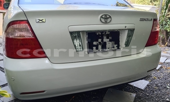 Buy Used Toyota Corolla White Car in Triolet in Pamplempousses Buy Used Toyota Corolla White Car in Triolet in Pamplempousses