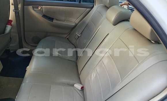 Buy Used Toyota Corolla White Car in Triolet in Pamplempousses Buy Used Toyota Corolla White Car in Triolet in Pamplempousses