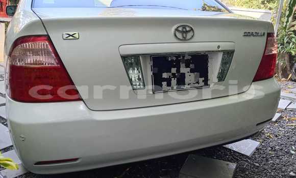 Buy Used Toyota Corolla White Car in Triolet in Pamplempousses Buy Used Toyota Corolla White Car in Triolet in Pamplempousses