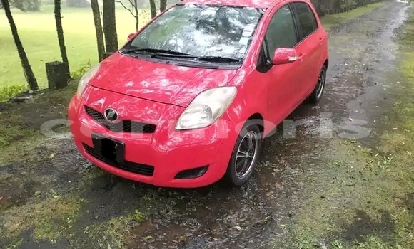 Buy Used Toyota Vitz Red Car in Port Louis in Port Louis District Buy Used Toyota Vitz Red Car in Port Louis in Port Louis District