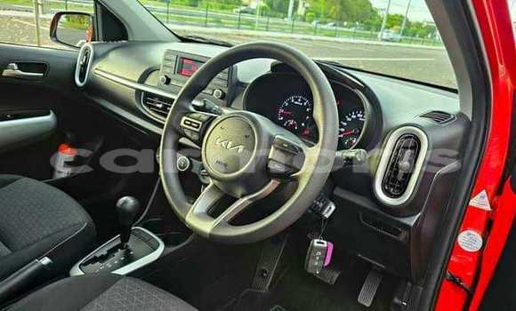 Buy Used Kia Picanto Red Car in Vacoas–Phoenix in Plaines Wilhems District Buy Used Kia Picanto Red Car in Vacoas–Phoenix in Plaines Wilhems District